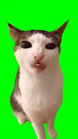 Tela verde gato