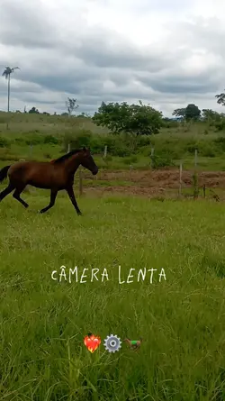 câmera lenta country