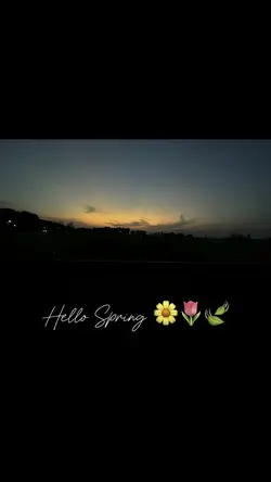Hello Spring Edit 🌼✨