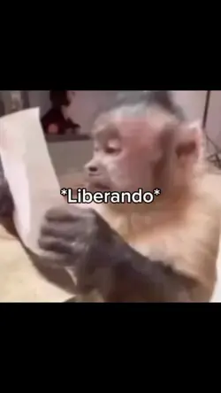 Meme