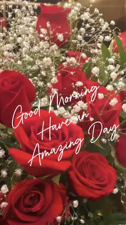 Good morning flowers