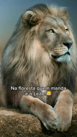 quem manda é..