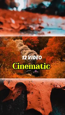 Fall Video