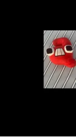 Whail ytpmv