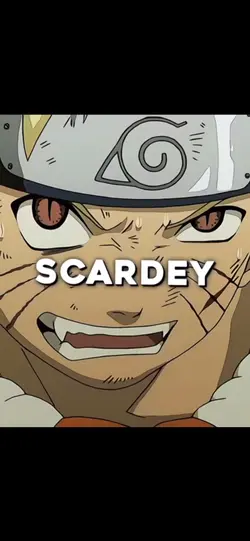 Scardey Cat