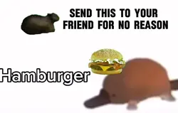 Hamburger??