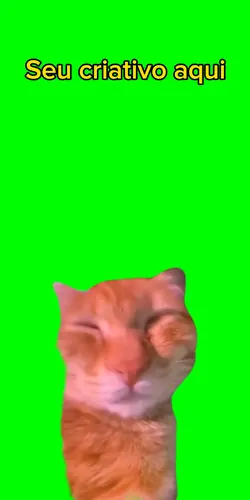 Gato conversando 