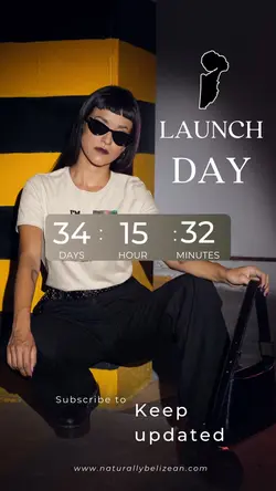 PreLaunch mood board
