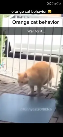 😂