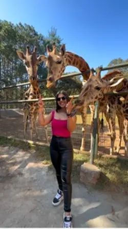Girafa