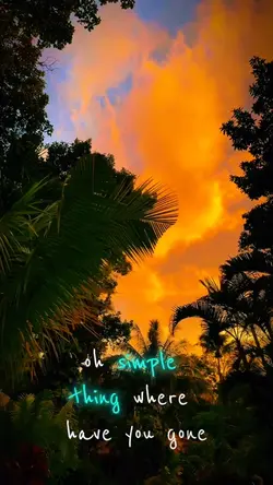 Oh simple thing song