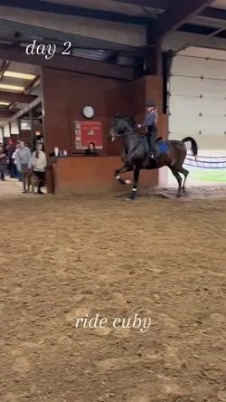 barn vlog