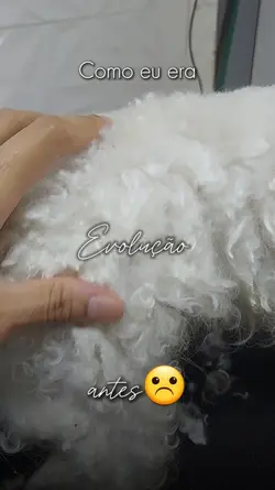 Textos editáveis 