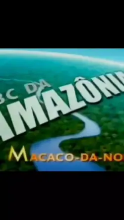 reportagem