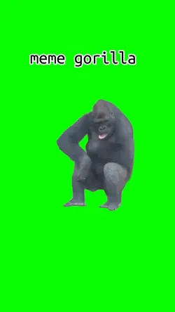gorilamme03