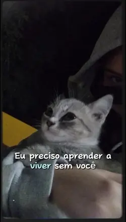 Adeus... 