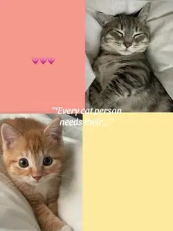 cat + dog person>>>