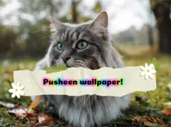 19 Pusheen wallpaper