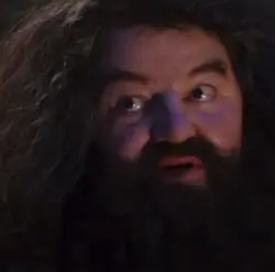 you're a wizard 