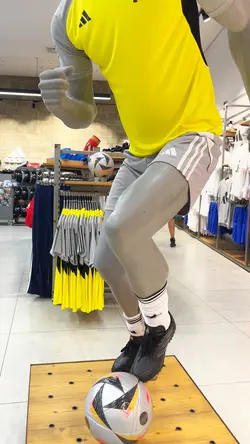 Loja Esportiva
