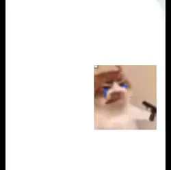 crying meme