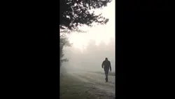 Positivity