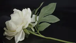 Mother’s Day