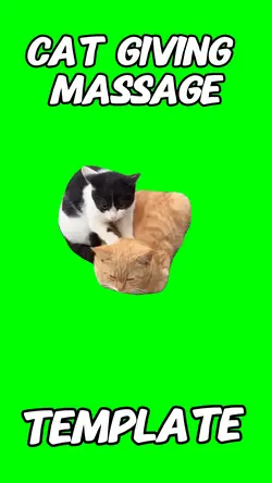 Cat giving massage 