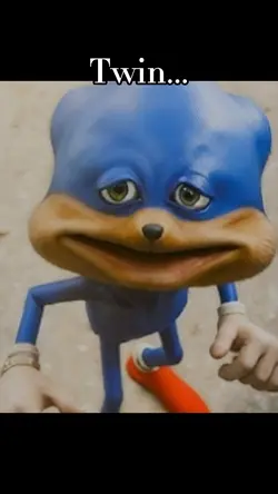 sonic twin