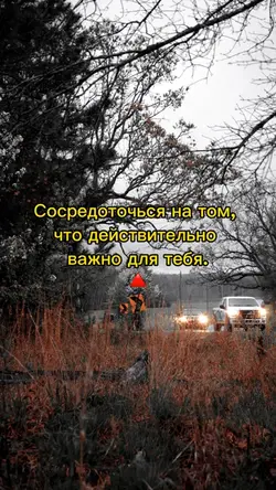 #мотивация #motivate