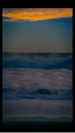 Pacific vibe