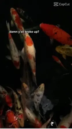 We broke up