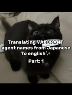 Google translate💀