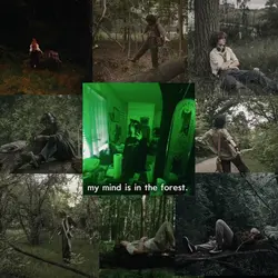 the forest