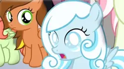 Snowdrop
