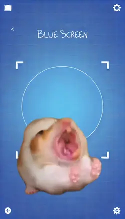 Hamster gritando