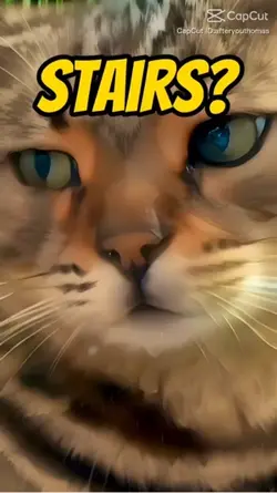 Illusion 