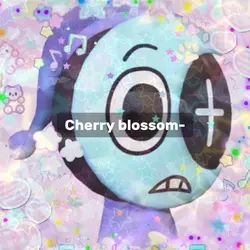 Cherry blossom