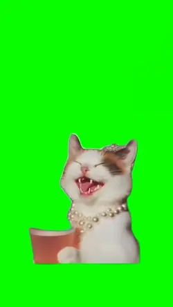 Gato bebiendo