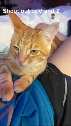 🙊🙊