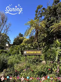 Spring is coming