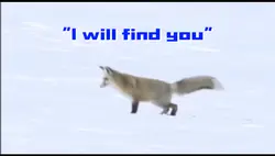 Fox Hunting