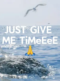 🐬🌈💖✨