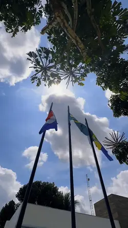 Stories Instagram