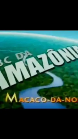 Macaco da Noite