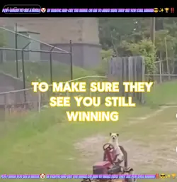 YOU SEE IT!!!