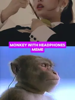 monkey with headphon