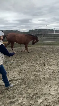 lunged her tdy 😋
