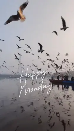 Happy Monday ❤️