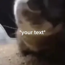 Vibing cat 
